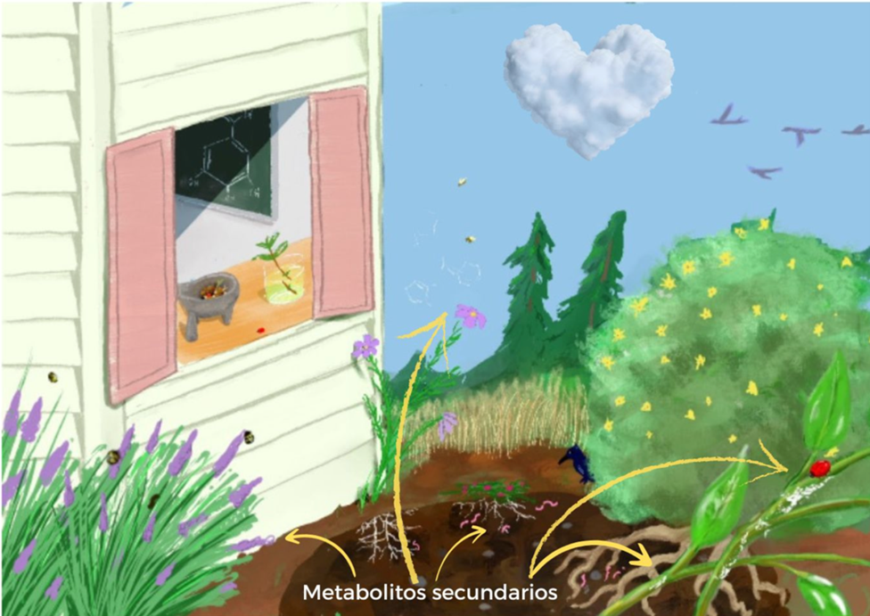 Entre nosotros hay química: Los metabolitos secundarios y las plantas